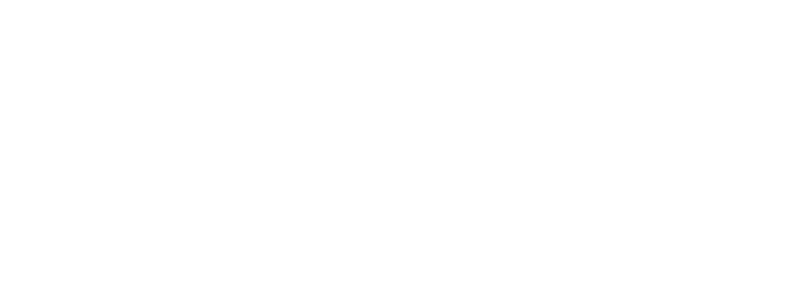 Regional Rail Revival